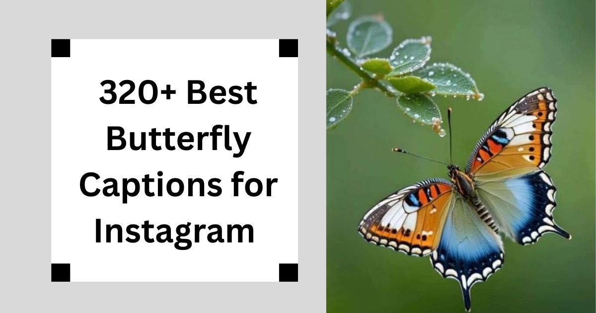 320+ Best Butterfly Captions for Instagram Nature & Beauty Vibes 2025