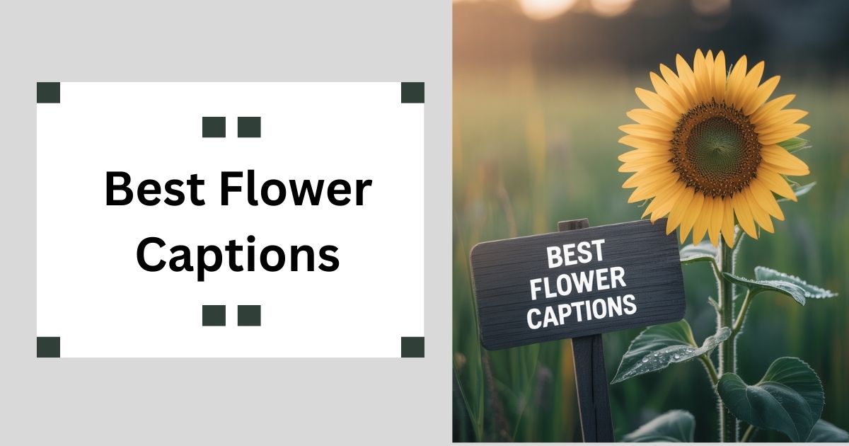 320+ Best Flower Captions | Instagram Quotes | Blossom Bright in 2025