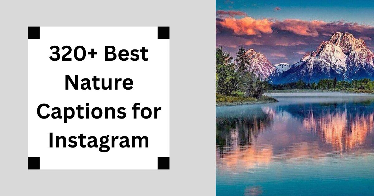 320+ Best Nature Captions for Instagram | Peaceful Vibes 2025