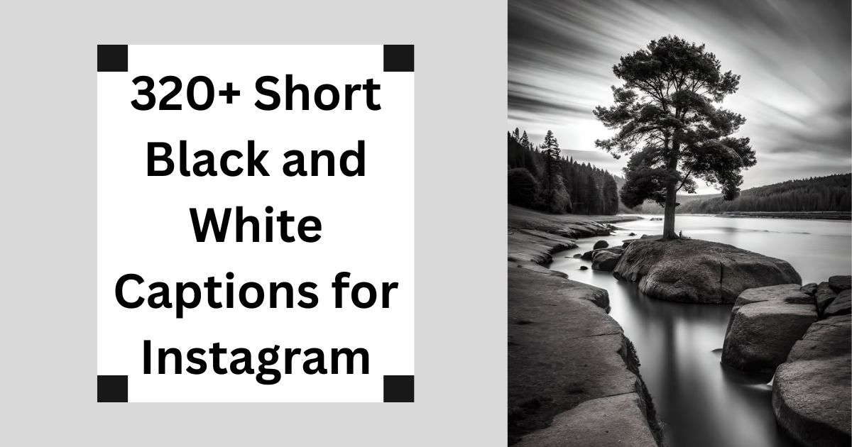 320+ Short Black and White Captions for Instagram Elegant Vibes 2025