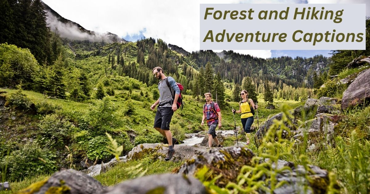 Forest and Hiking Adventure Captions
