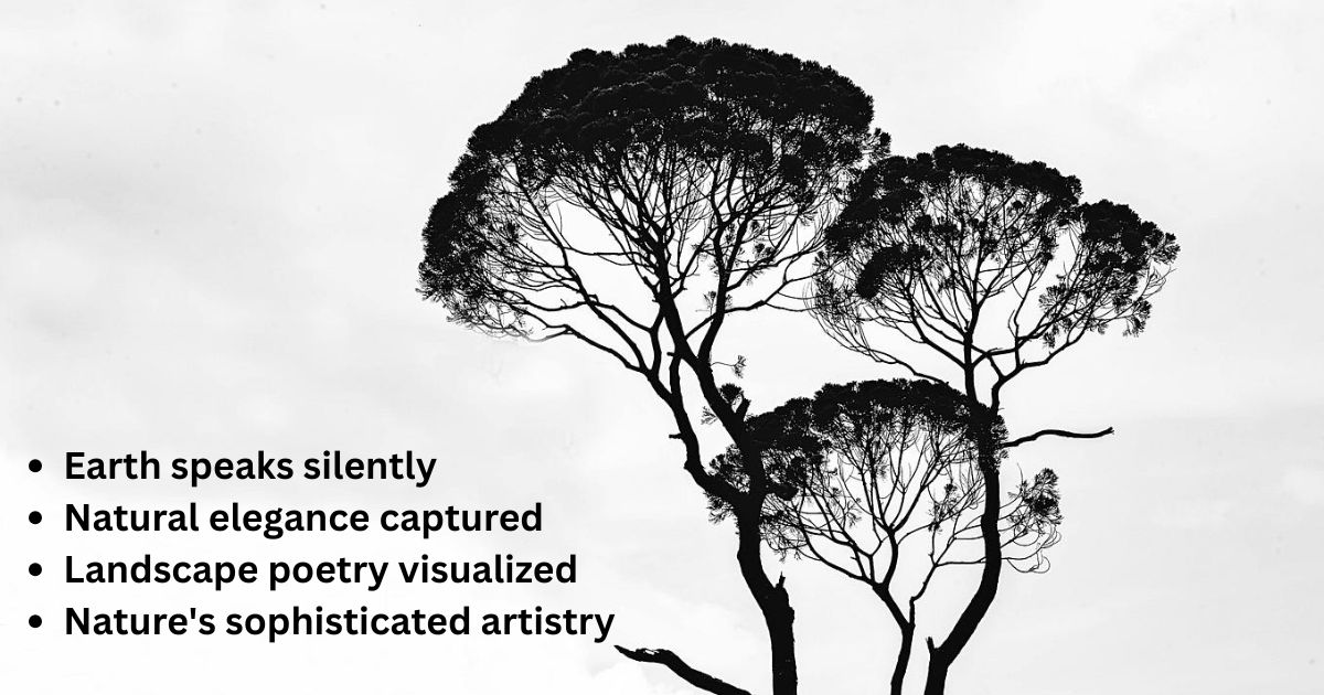 Nature-Inspired Monochrome Captions for Landscape Posts