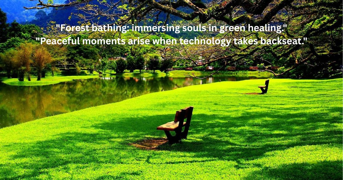 Peaceful & Meditative Nature Instagram Captions