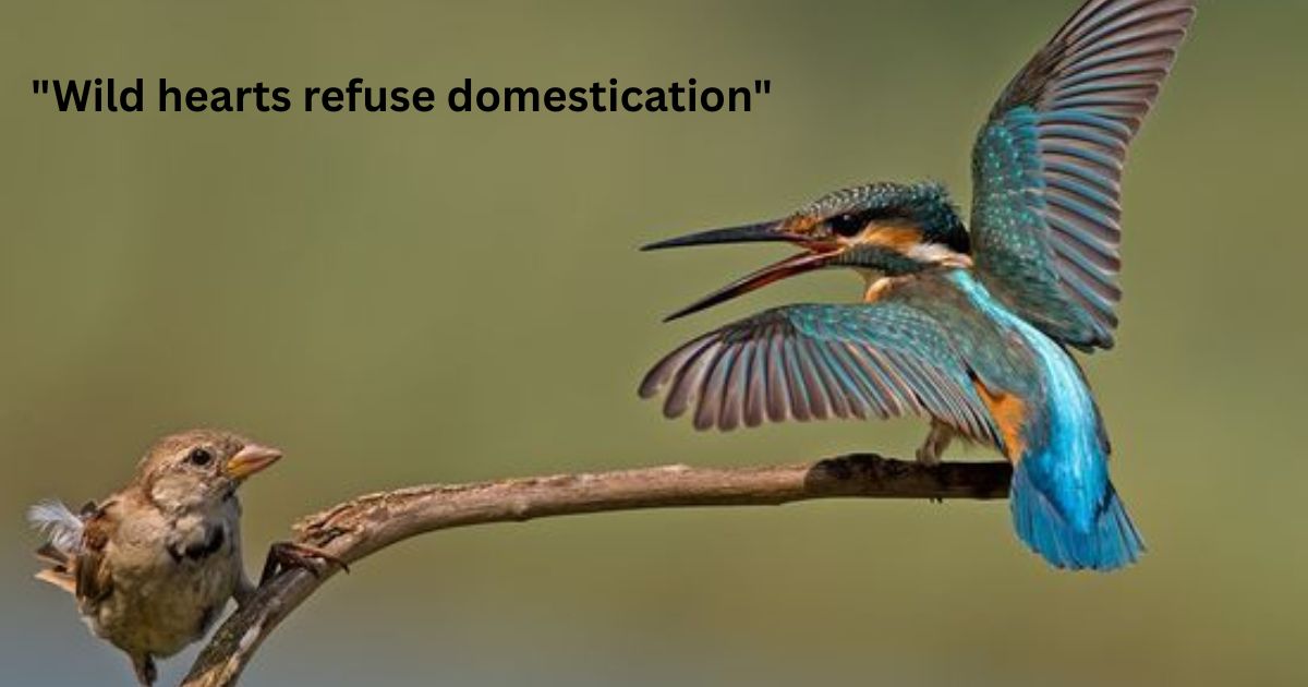 Wild and Free Untamed Bird Spirit Captions