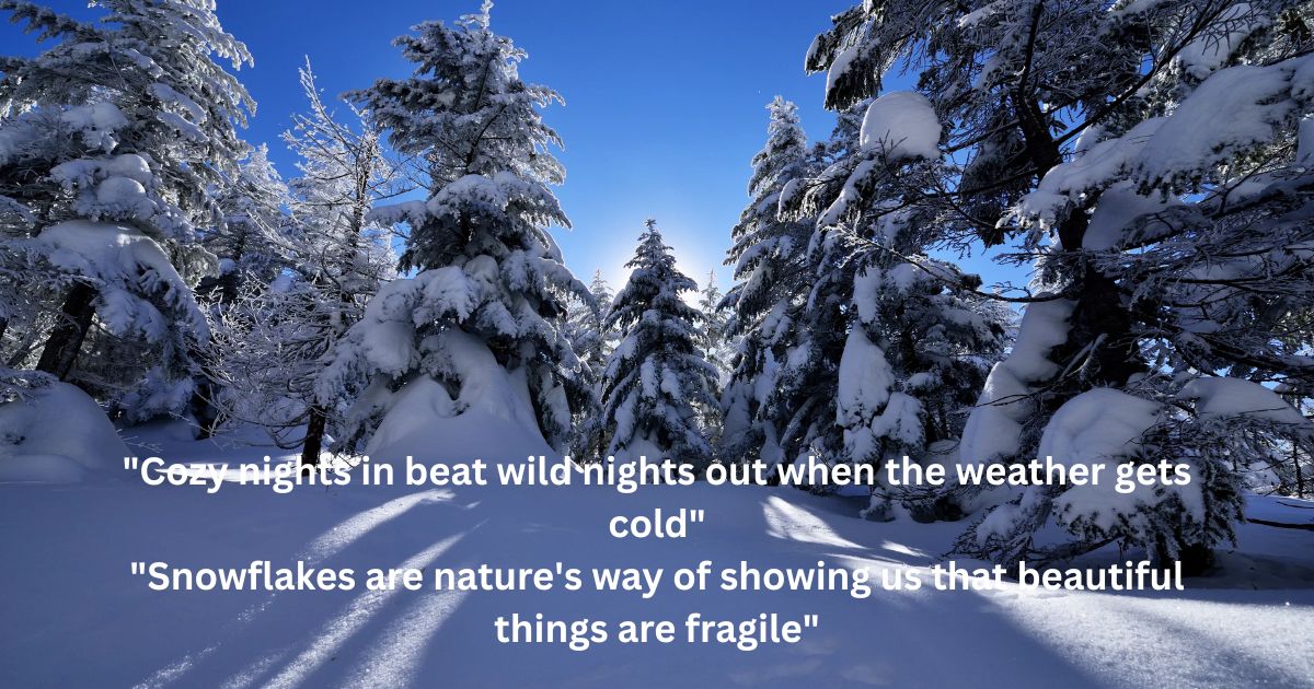 Winter and Cozy Musical Instagram Captions