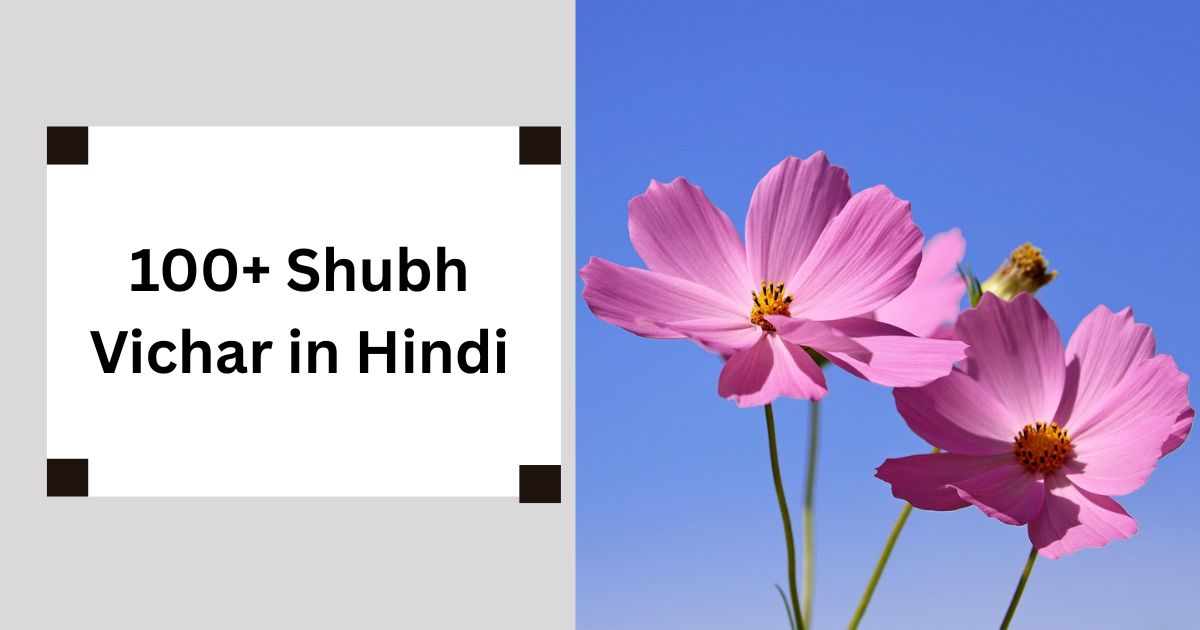 100+ Shubh Vichar in Hindi – जीवन को सकारात्मक बनाने वाले अनमोल विचार