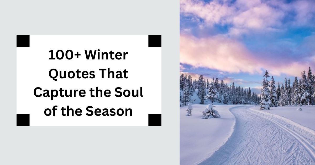 100+ Winter Quotes That Capture the Soul of the Season