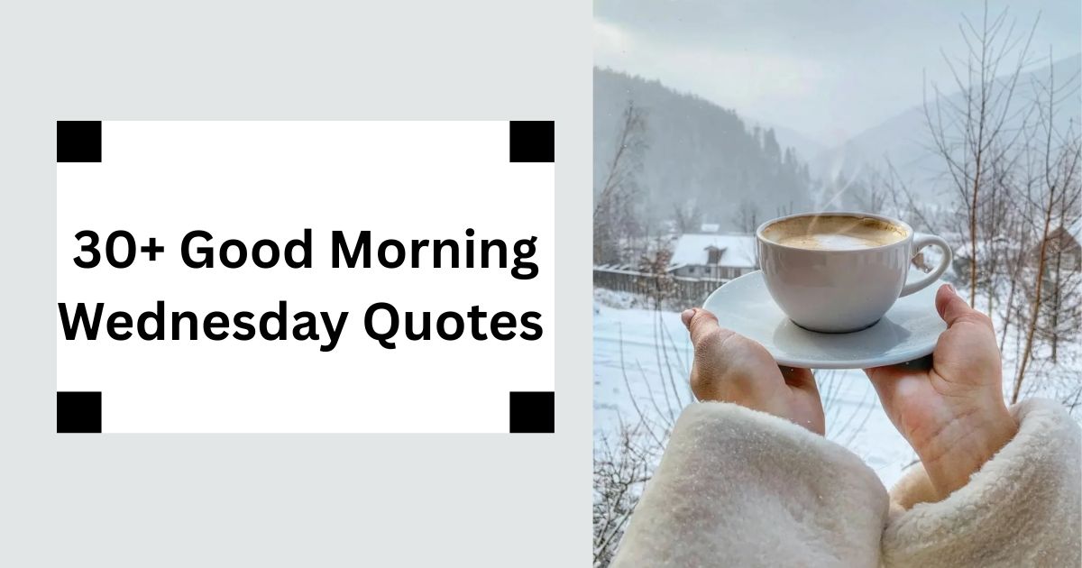 30+ Good Morning Wednesday Quotes Midweek Motivation 2025