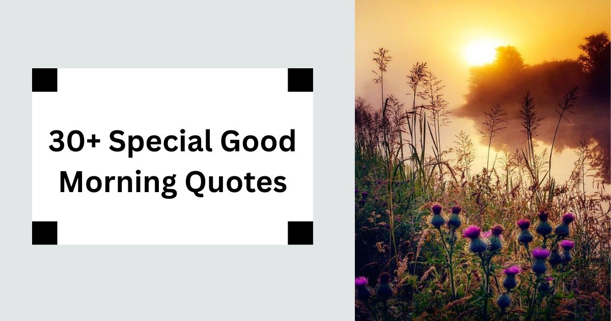 30+ Special Good Morning Quotes Make Their Day Magical 2025