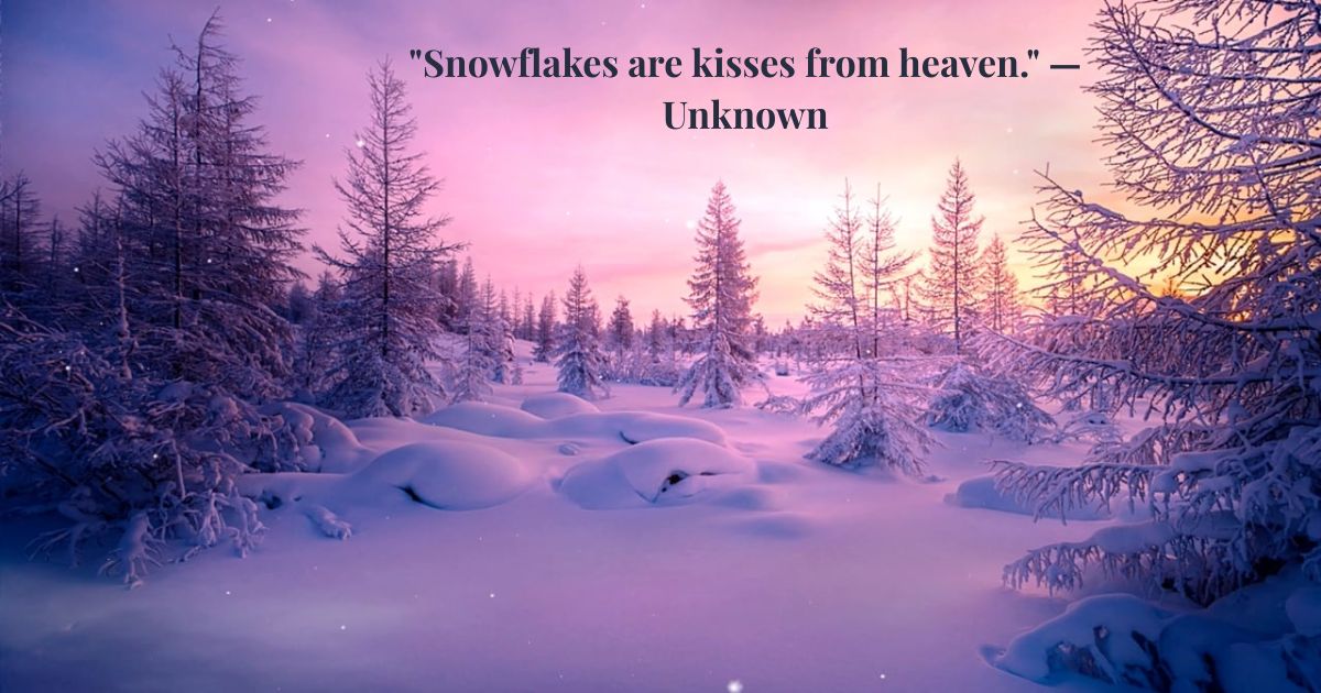 Cute Winter Quotes Cute Winter Quotes