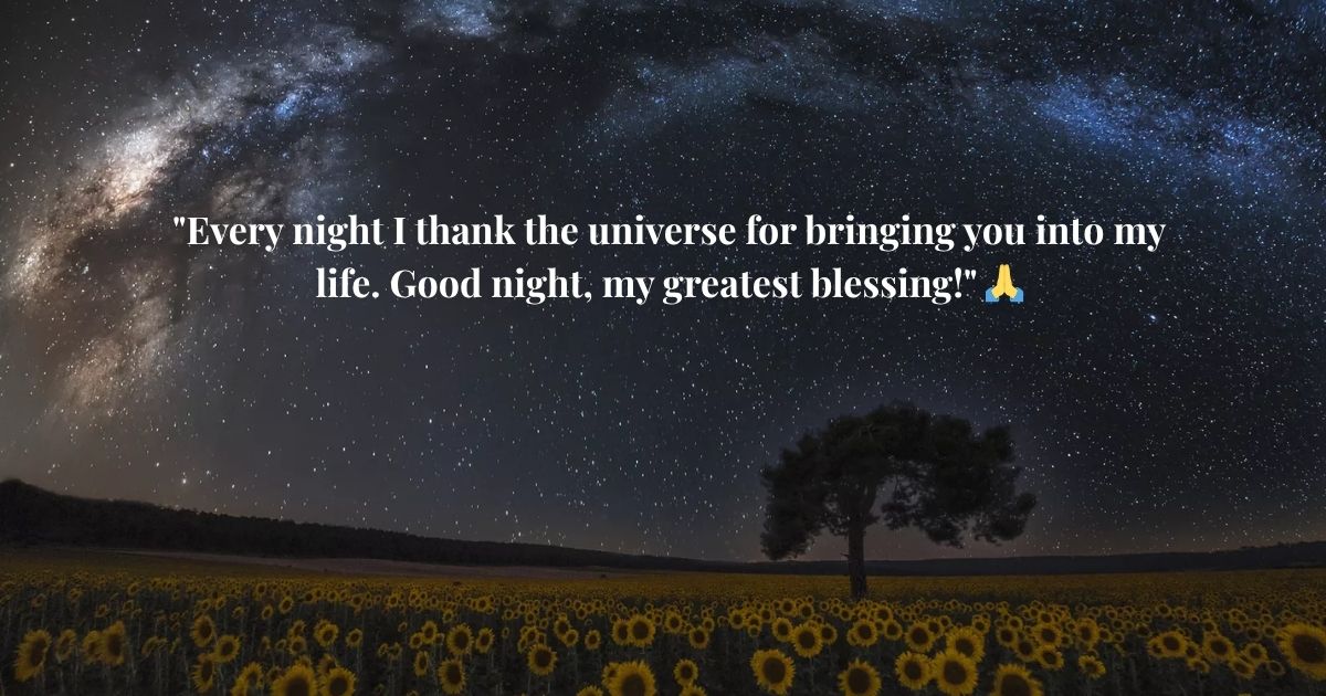 Deeply Emotional Good Night Love Quotes 💞