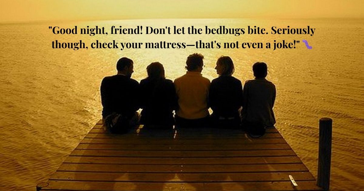 Funny Good Night Quotes For Friends 😂