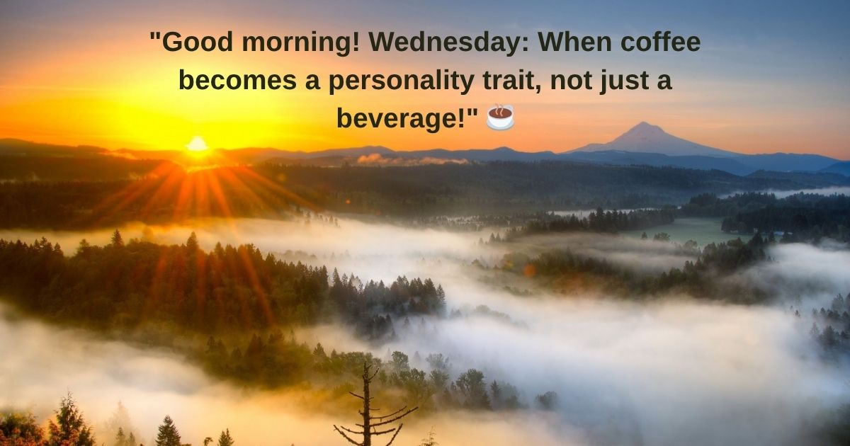 Funny Wednesday Quotes 😄 Funny Wednesday Quotes 😄