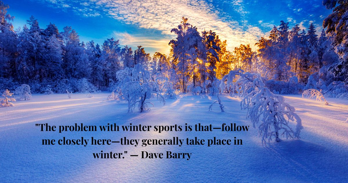 Funny Winter Quotes Funny Winter Quotes