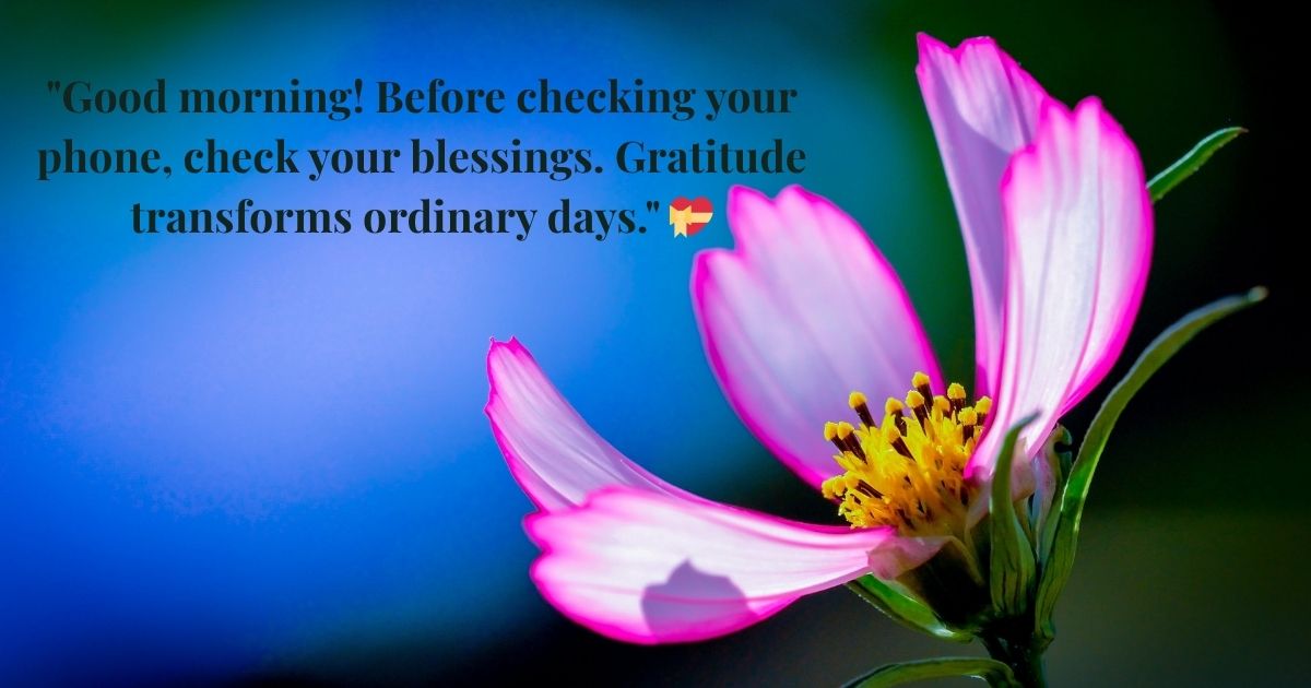 Grateful Morning Affirmations 🙏