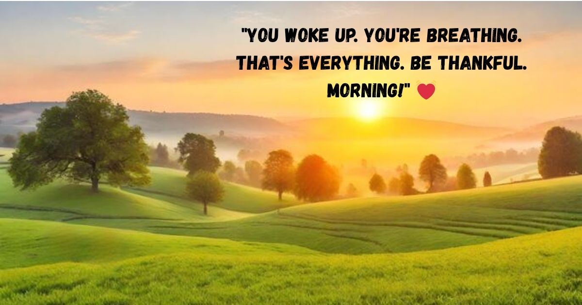 Grateful Sunday Morning Quotes 🙏