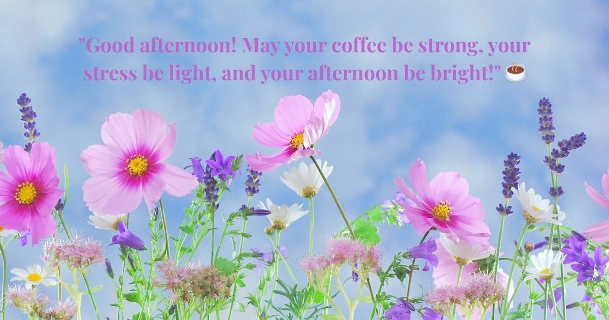 Positive Good Afternoon Quotes 🌞