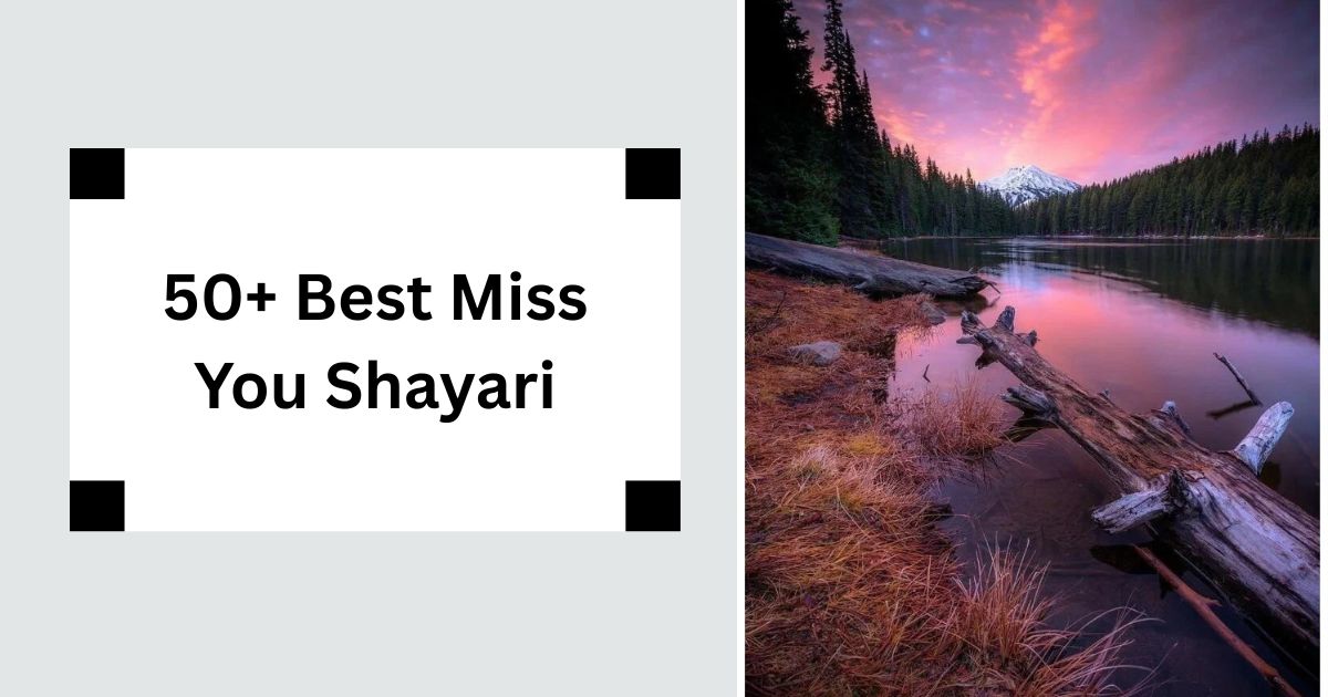 50+ Best Miss You Shayari Express Your Longing in 2 Lines 2025